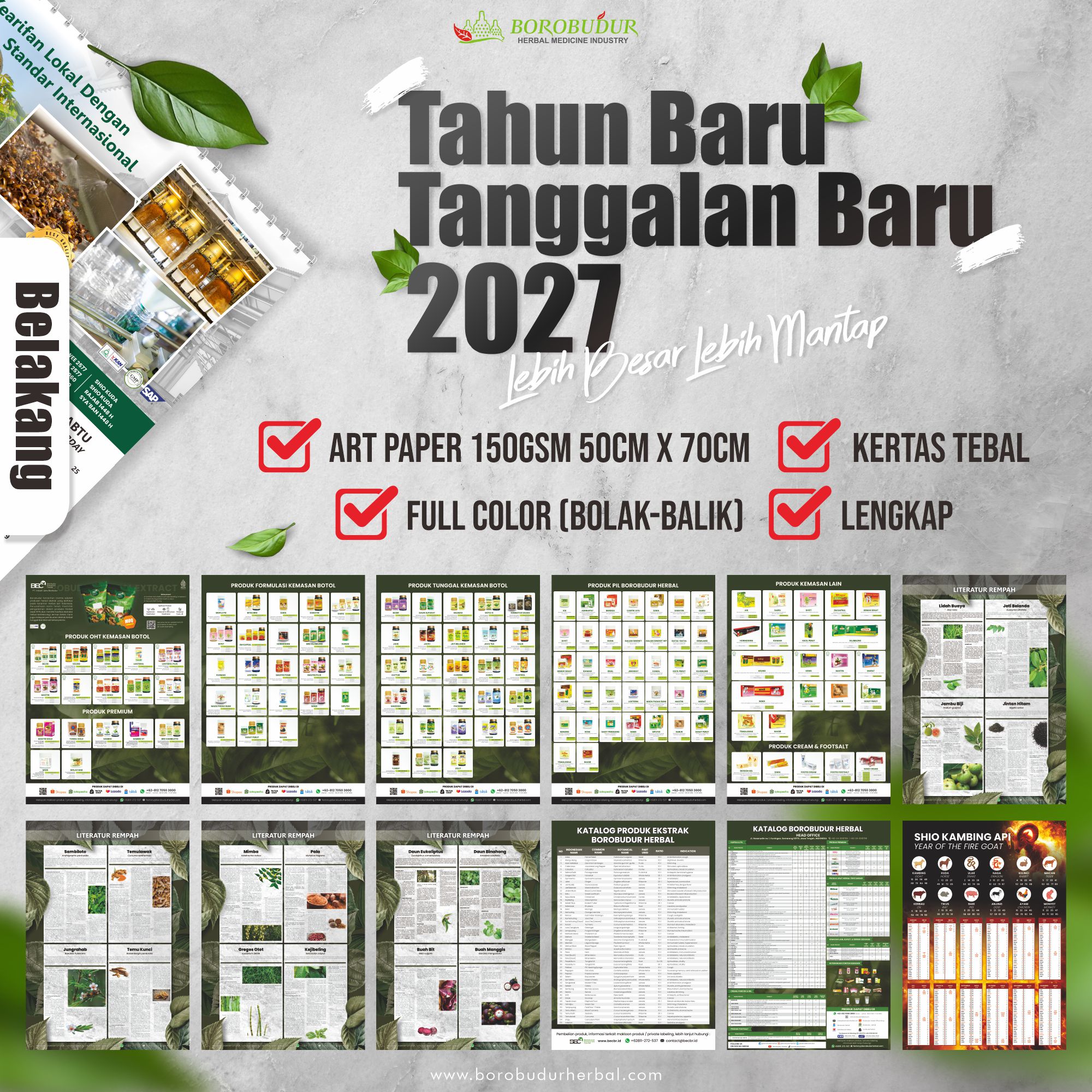 Belakang
